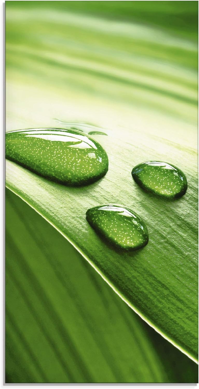 ARTland Glasbilder Wandbild Glas Bild einteilig 30x60 cm Hochformat Natur Pflanzen Blätter Wassertro