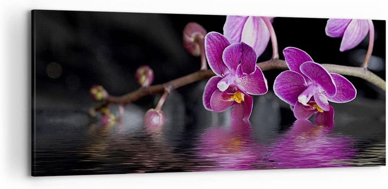 Wandbilder Dekoration Wohnzimmer Asien exotisch orchidee blume Panorama Bilder auf Leinwand 120x50cm