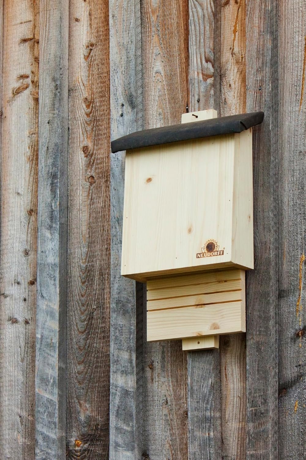 Neudorff 33432 Fledermausquartier