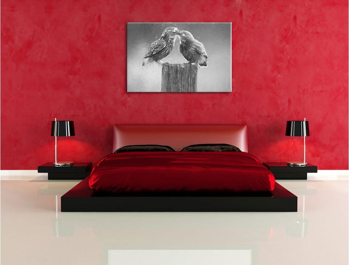 Pixxprint Küssende Eulen Kunst Kohle Effekt, Format: 100x70 auf Leinwand, riesige Bilder fertig gera
