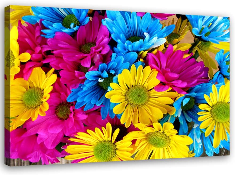 Feeby Bild auf Leinwand Blumen Kunstdruck modern Natur mehrfarbig 80x60 cm Leinwandbild 80x60 cm meh