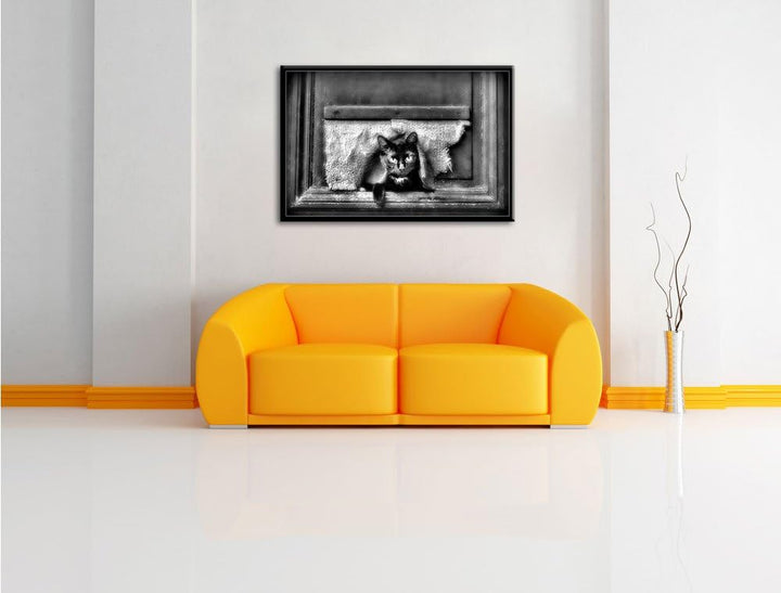 Pixxprint Monocrome, Schwarze Katze durch Hundeklappe, Format: 100x70 auf Leinwand, 100x70