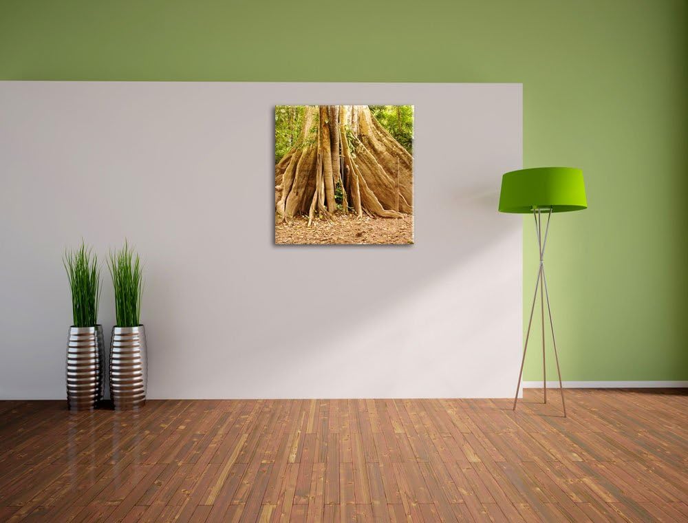 Mächtiger Urwald Baum, Format: 70x70 auf Leinwand, XXL riesige Bilder fertig gerahmt mit Keilrahmen,