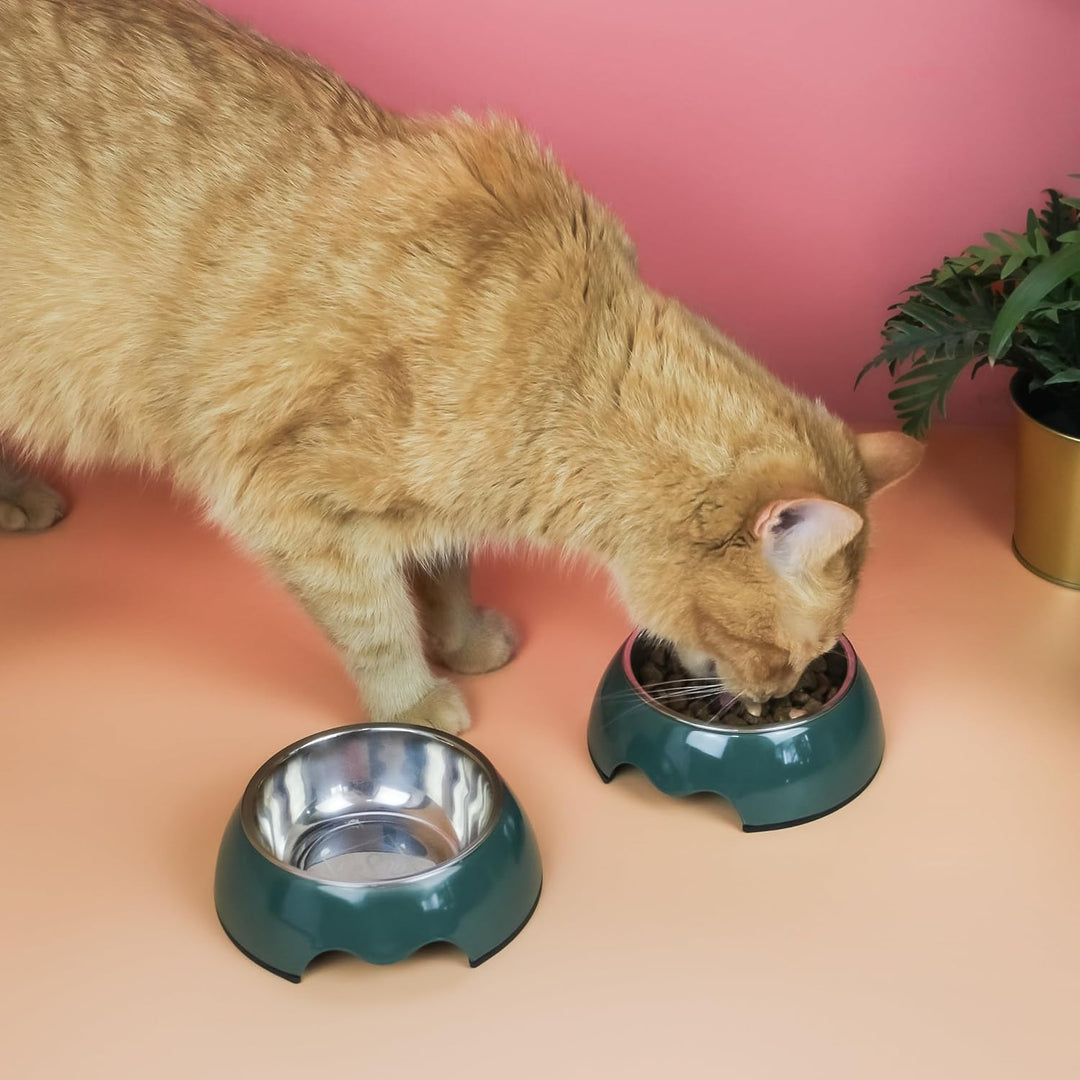ne&no® Futternapf 2er Set für kleine Hunde und Katzen [Gr. S / 170 ml] Doppelnapf Katze rutschfest |