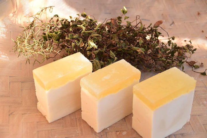 Seifenprofis - Aloe Vera Seife- Glycerinseife Rohseife Seifenbasis (3kg SLS+SCS-Frei) 100% Vegan zum