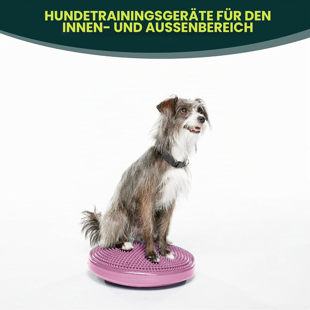 Fitpaws Balance-Disc für Hunde, 14", Violett