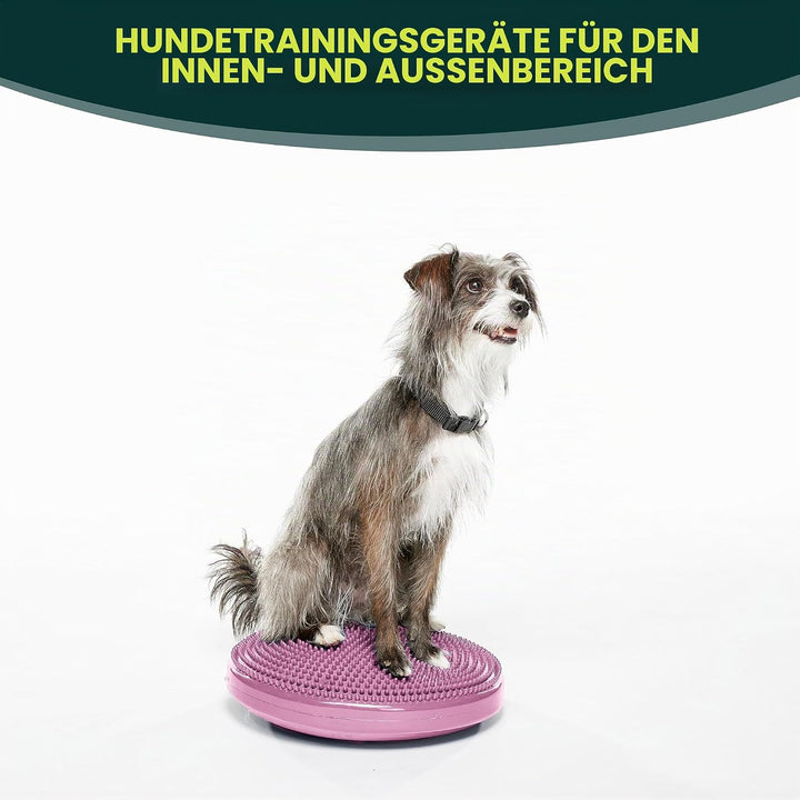 Fitpaws Balance-Disc für Hunde, 14", Violett