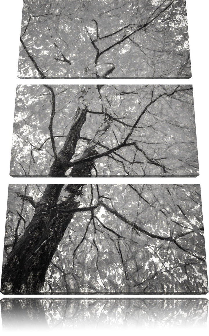 Pixxprint Feurige Hebstblätter Kunst Kohle Effekt 3-Teiler Leinwandbild 120x80 Bild auf Leinwand