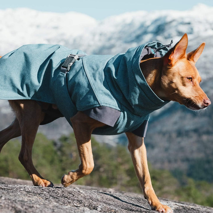 Hurtta Expedition Parka Wintermantel für kleine Hunde, Hundemantel Winter, Blaubeere Dunkelblau 20cm