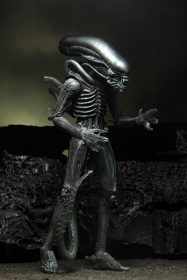 Alien NECA Xenomorph 40th Anniversary, H857800