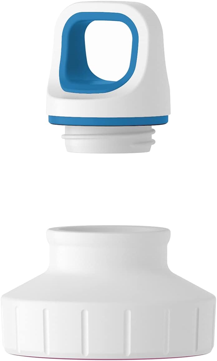 Emsa 518355 Trinkflasche Drink2Go Light Steel | 0,6 L | Edelstahl | Schraubverschluss | 100% auslauf