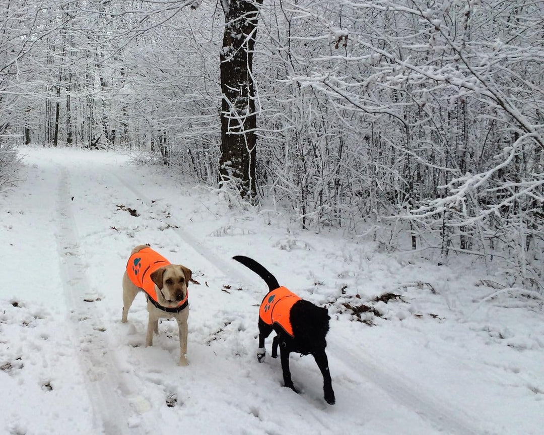 SafetyPUP XD Hund Warnweste, Grössen passen Hunde 14 lbs bis 130 lbs Blaze Orange Gross, Groß