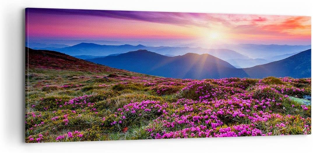 Wandbilder Dekoration Wohnzimmer Wiese Berg Himmel Landschaft Panorama Bilder auf Leinwand 120x50cm
