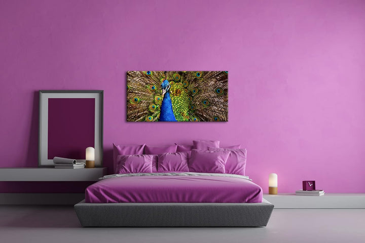 himmlisches Pfau Gefieder Panorama 80x40 cm als Leinwandbild, Motiv fertig gerahmt auf Echtholzrahme