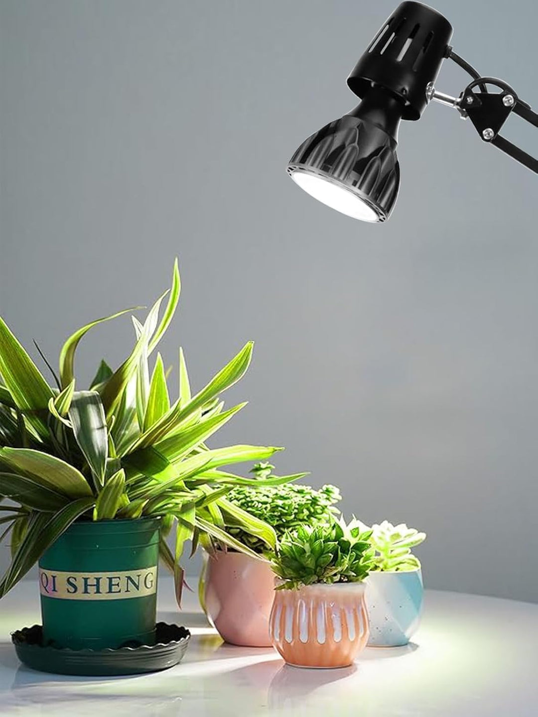 Milpoel LED Pflanzenlampe Vollspektrum E27 für Zimmerpflanzen, Grow Light, Gewächshaus, Garten (Weis