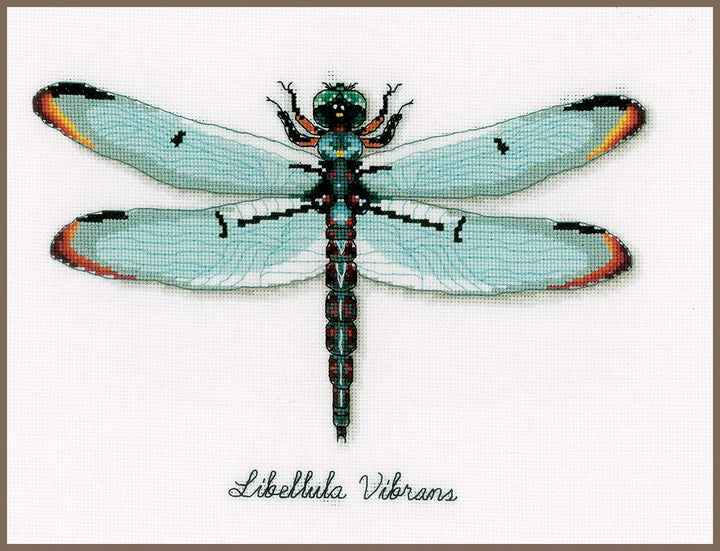 Vervaco Zählmusterpackung Libelle Aida Kreuzstickpackung zum Auszählen, weiss, 27 x 19 x 0,3 cm