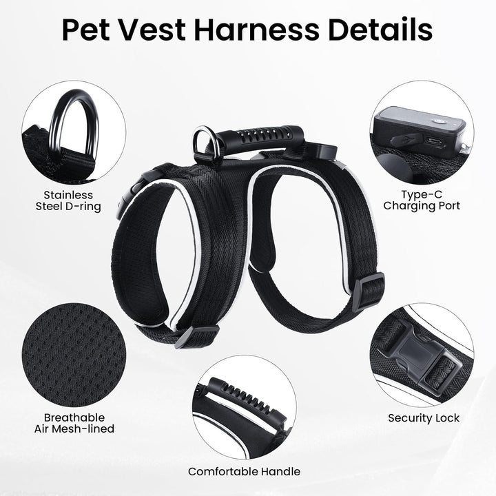 MASBRILL LED Hundegeschirr Leuchtend, Leuchtgeschirr für Hunde Aufladbar Verstellbar LED Leucht Brus