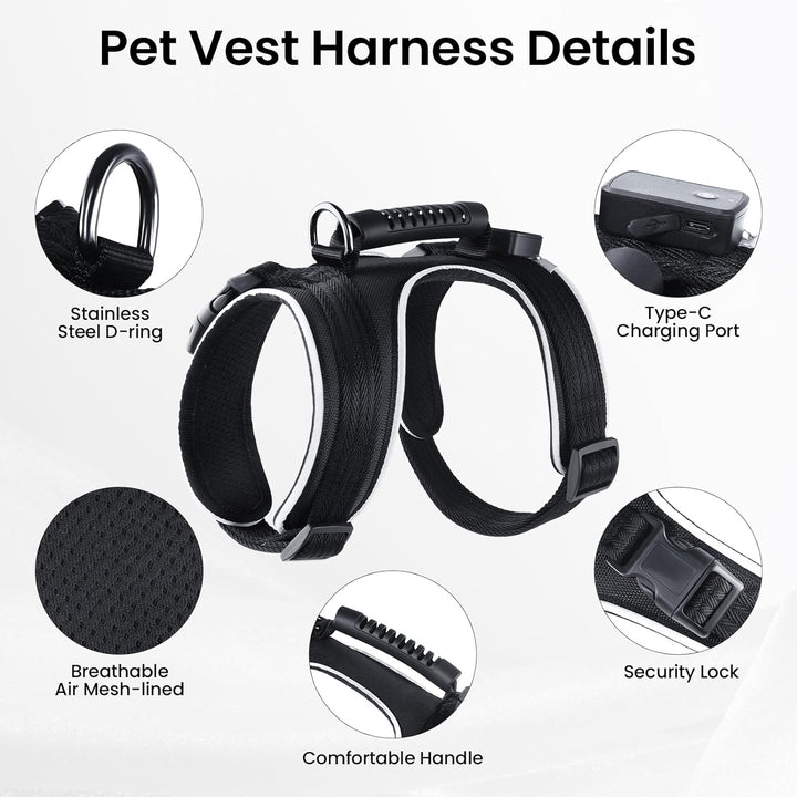 MASBRILL LED Hundegeschirr Leuchtend, Leuchtgeschirr für Hunde Aufladbar Verstellbar LED Leucht Brus