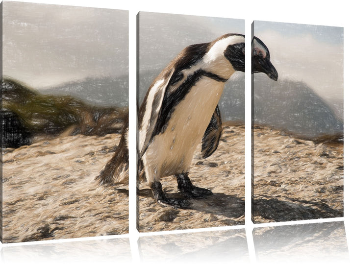 Pixxprint Afrikanischer Pinguin beobachtet als Leinwandbild/Grösse: 3 Teilig (120x80) cm/Wandbild/Ku