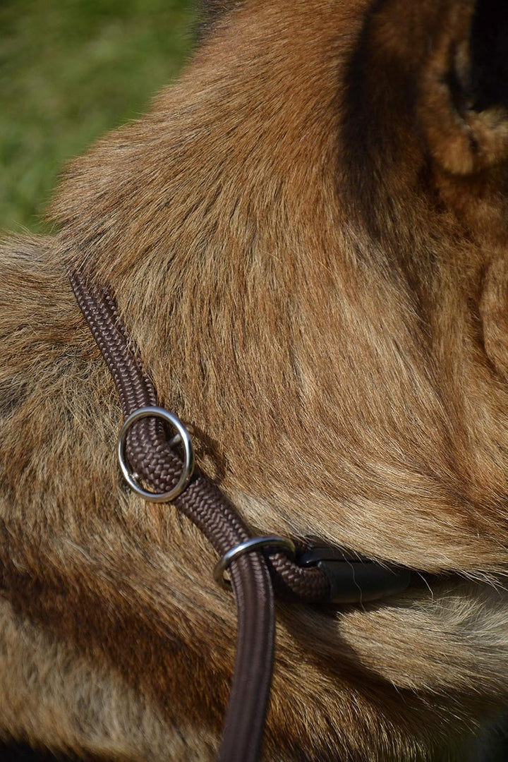 Dingo Retrieverleine mit Zugstopp Hundeleine aus Seil,Snake'' und aufstellbarem Halsband Trainingsle