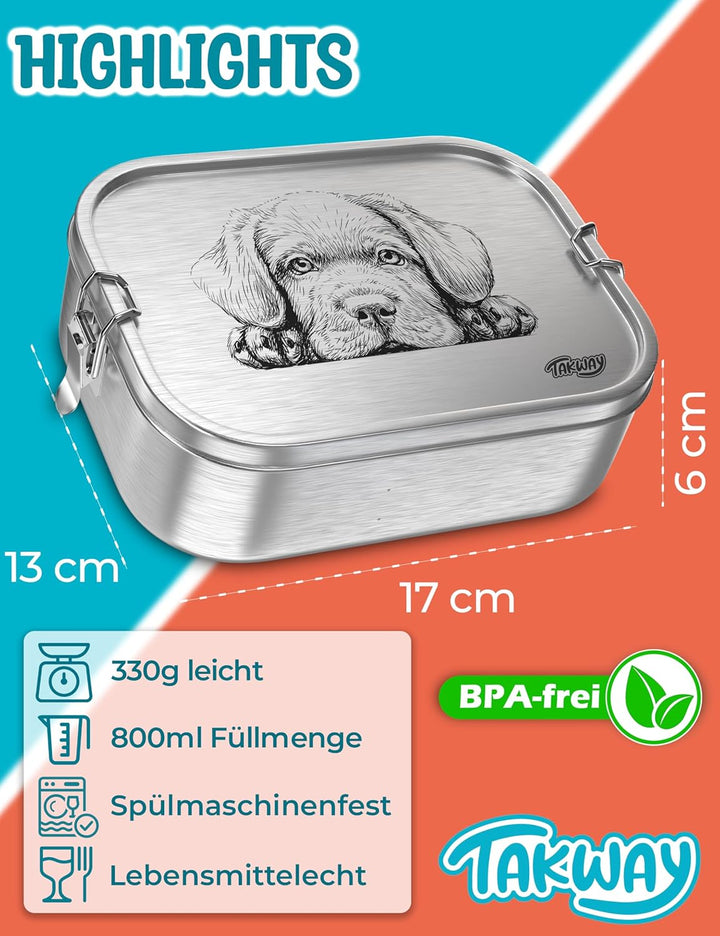 Edelstahl Brotdose mit Fächern 800ml – Auslaufsichere Lunchbox für Kinder & Erwachsene, Bento Box mi