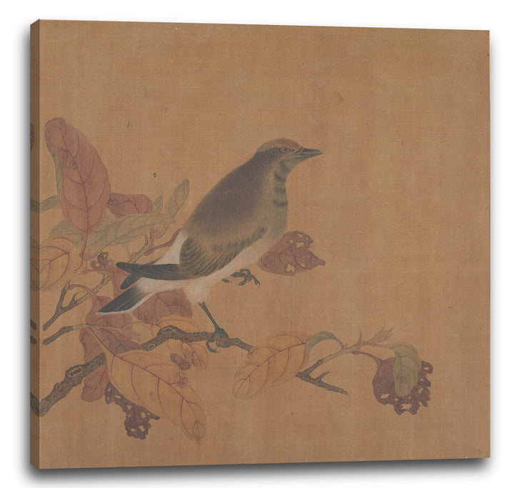 Printed Paintings Leinwand (60x60cm): Nicht identifizierter Künstler - Vogel auf Zweig 60x60 cm, 60x