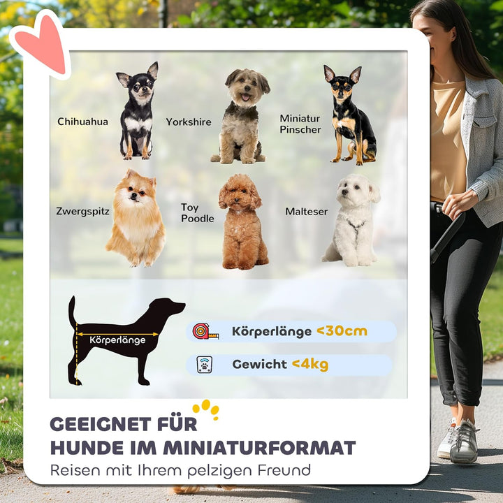 PawHut Hundewagen Hundebuggy klappbar für Hunde & Katzen bis 4 kg Katzenbuggy mit Netzfenstern Schul