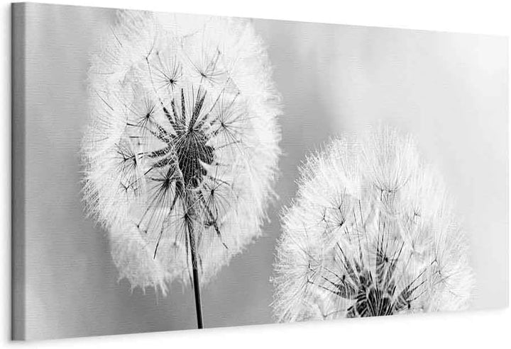 murando - Bilder Pusteblume 120x40 cm Vlies Leinwandbild 1 tlg Kunstdruck modern Wandbilder XXL Wand