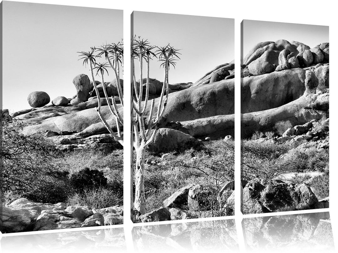 Pixxprint Monocrome, aussergewöhnlicher Baum im Steingebirge 3-Teiler Leinwandbild 120x80 Bild auf L