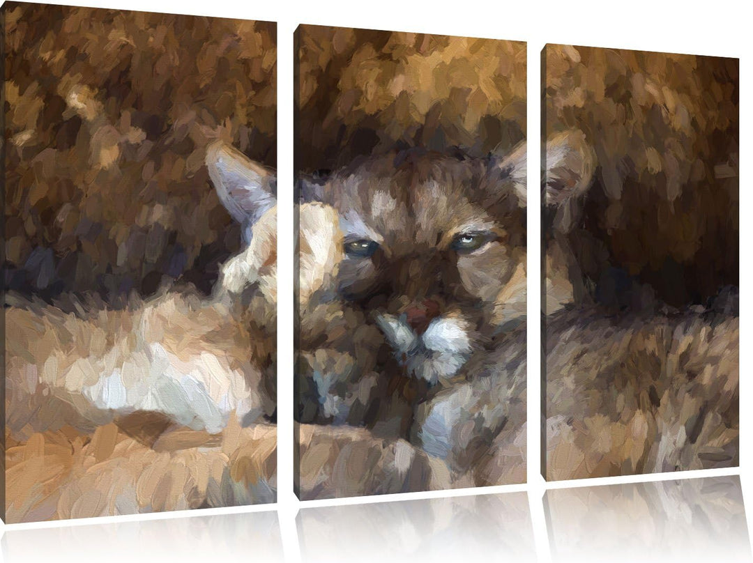 Pixxprint verschlafenes Puma Paar Kunst als Leinwandbild/Grösse: 3 Teilig (120x80 cm) cm/Wandbild/Ku
