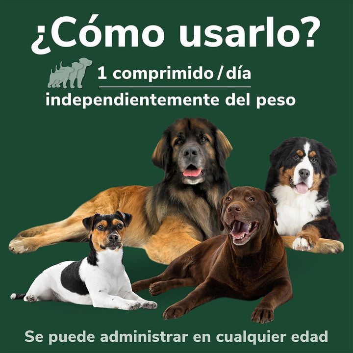 Hifarmax OMNICONDRO PRORAPID Perros 60CPD, Schwarz, Normal