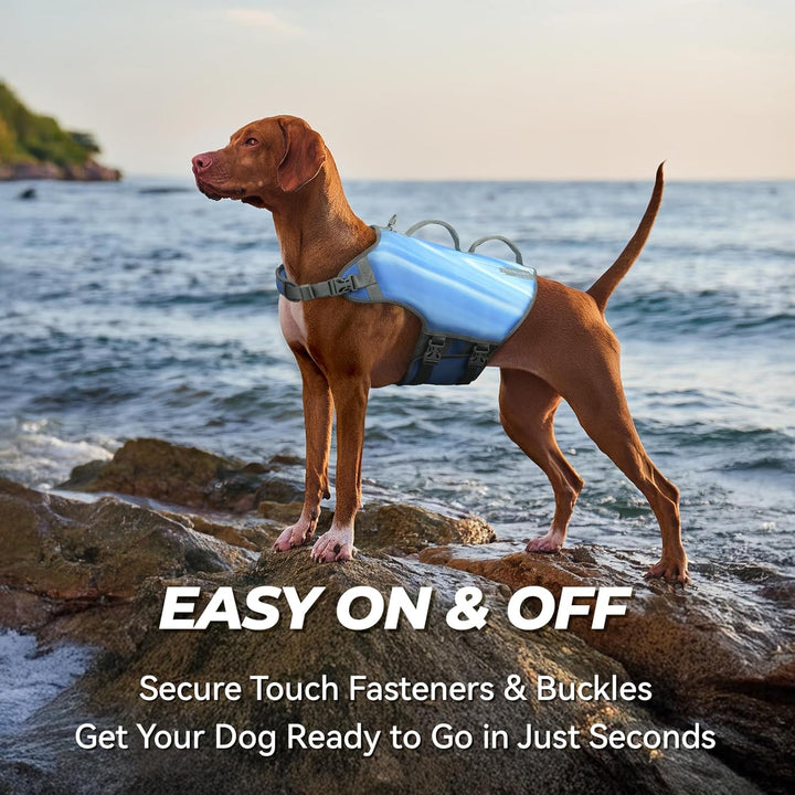 VIVAGLORY Neopren Schwimmweste Hund Hundeschwimmweste Für Wassersport Schwimmen & Hunter, Leichte Si