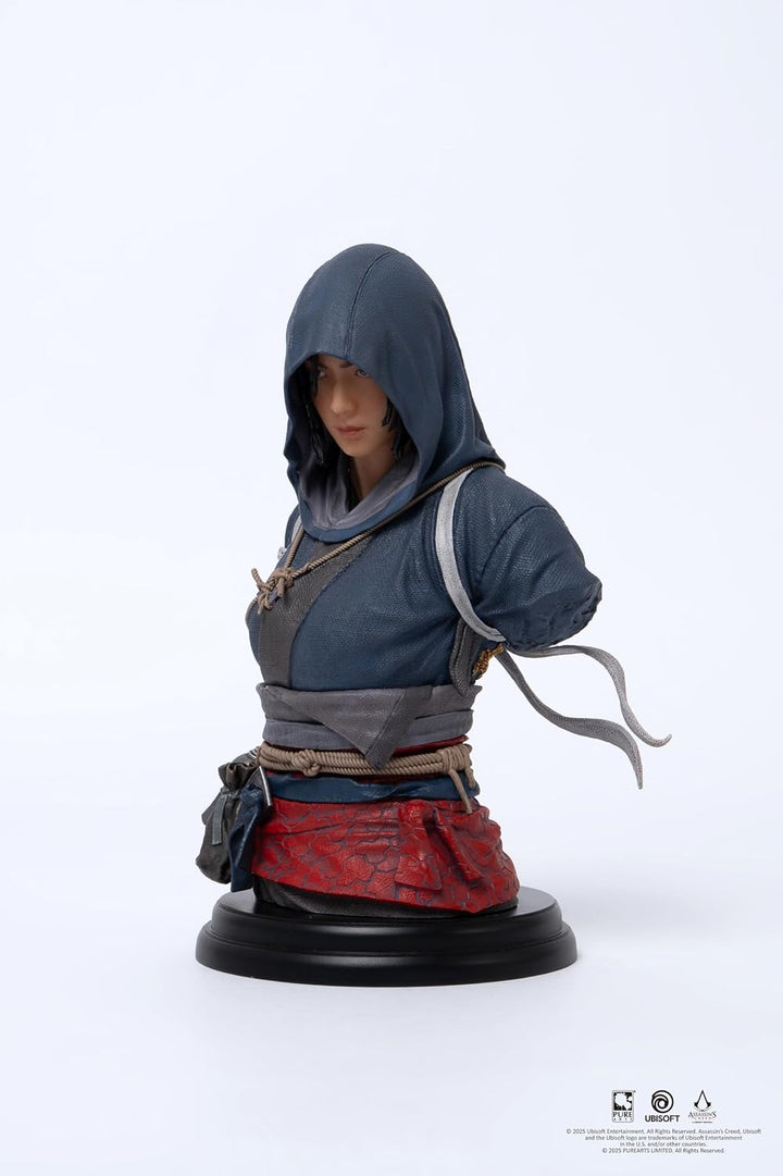 Pure Arts Assassin&