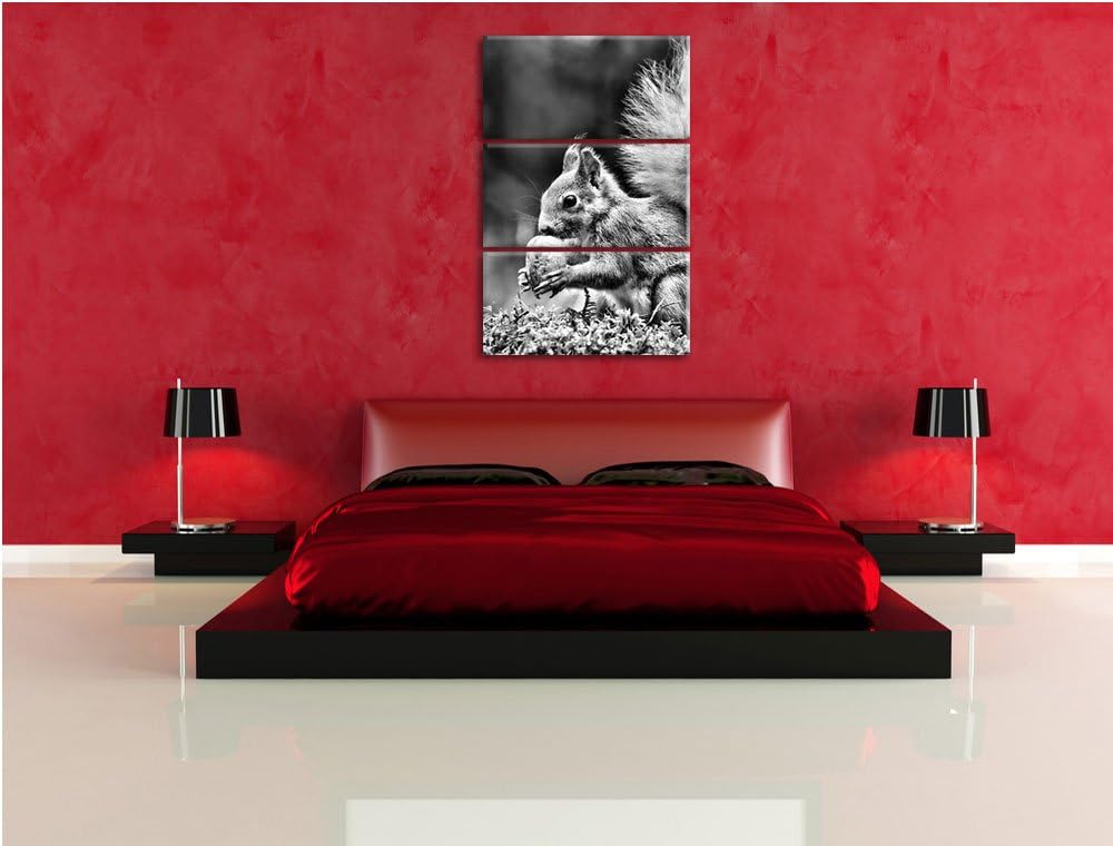 Pixxprint Eichhörnchen mit Nuss als Leinwandbild/Grösse: 3 Teilig (120x80) cm/Wandbild/Kunstdruck/fe
