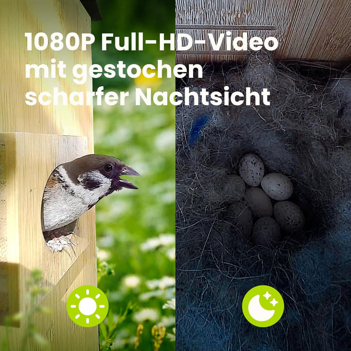Birdfy Smart Vogelhaus mit Doppelkamera für Live Vogelbeobachtung, 1080P Bambus Nistkasten mit Kamer
