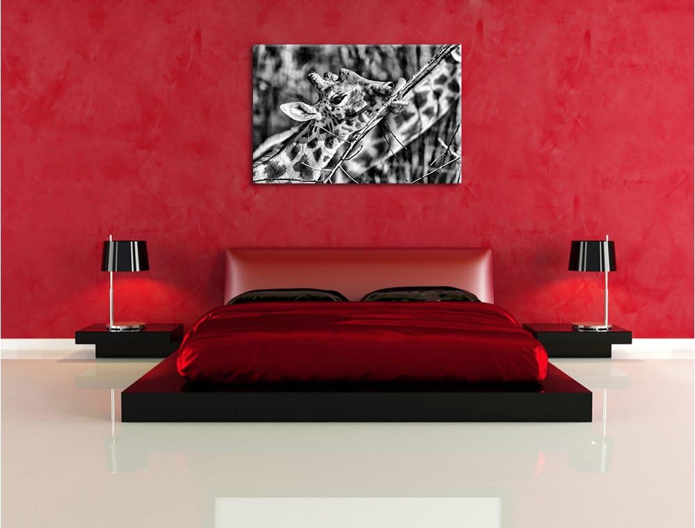 Pixxprint fressende Giraffe/Format: 100x70cm / Leinwandbild fertig bespannt Wandbild Kunstdruck, 100