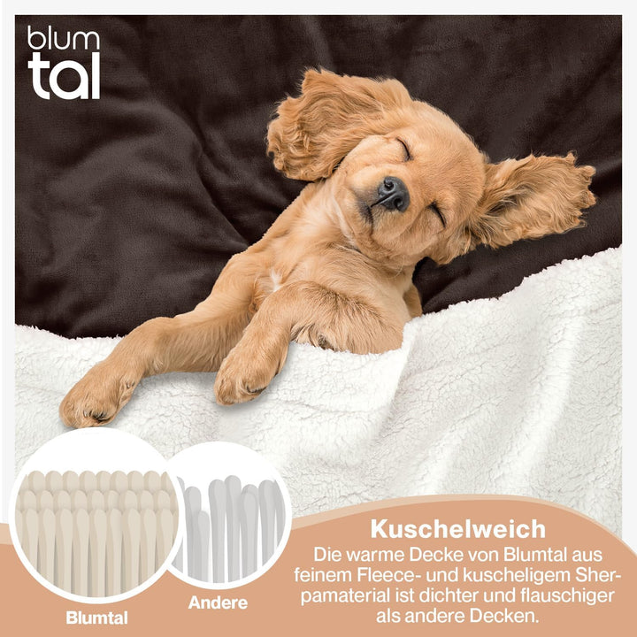 Blumtal Flauschige Sherpa Kuscheldecke – hochwertige Wohndecke, super weiche Fleecedecke als Sofaübe