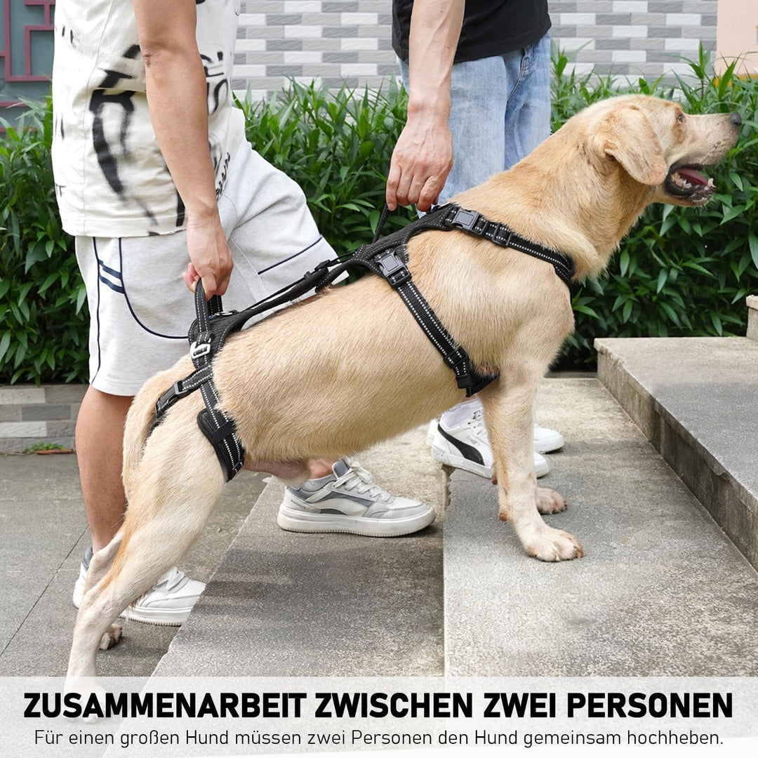 COODEO Hundefördergurt, Tragsack & Gehhilfe für Hunde, Hinterbein-Rehabilitationsweste, Transportgur