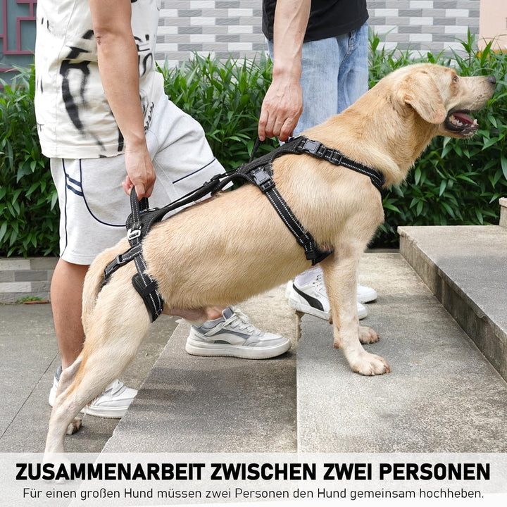 COODEO Hundefördergurt, Tragsack & Gehhilfe für Hunde, Hinterbein-Rehabilitationsweste, Transportgur