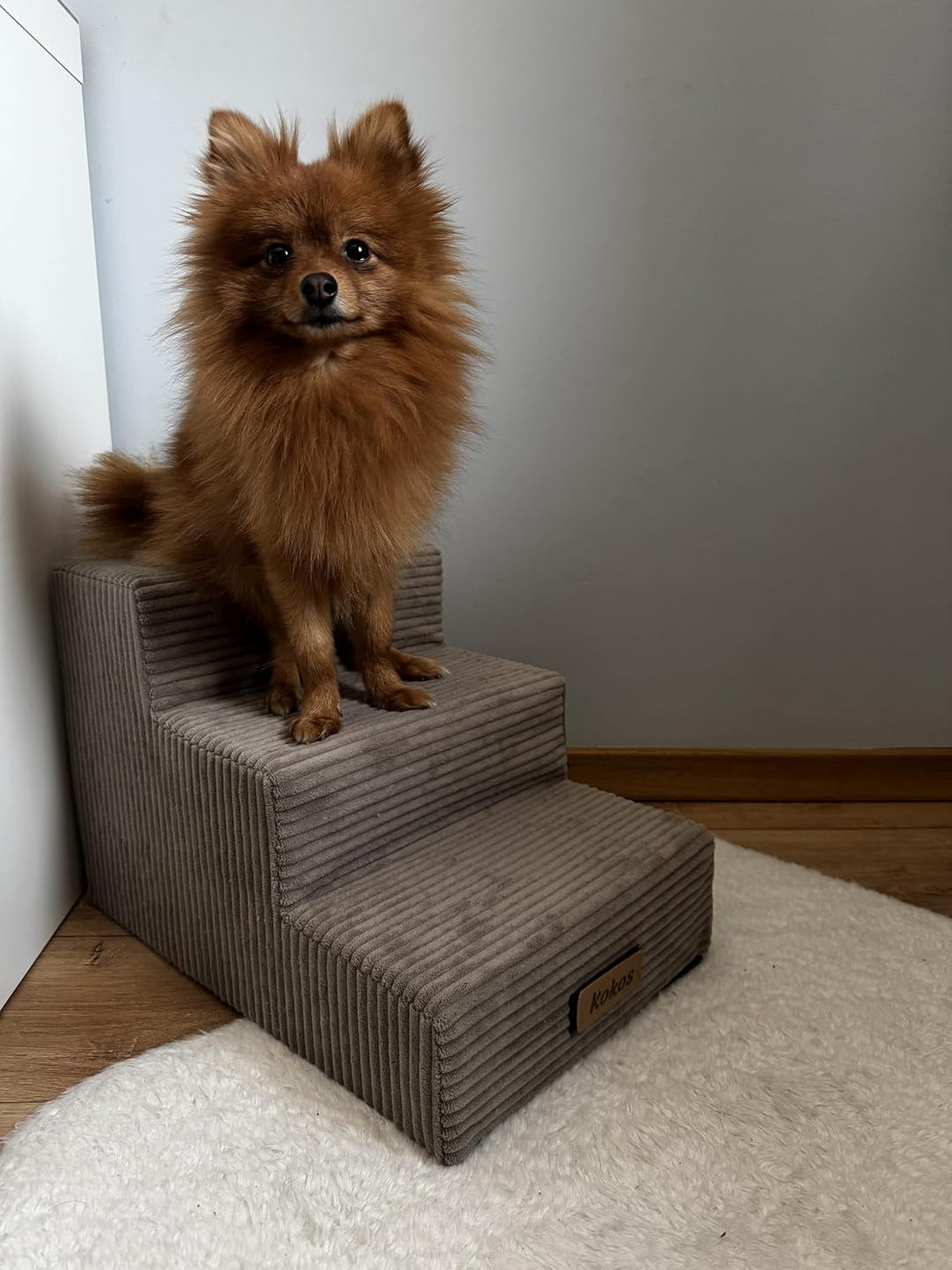 Sofatreppe für Hunde und Katzen – Hundetreppe für Bett &amp; Sofa – 3- oder 4-stufig, rutschfest &amp; wasch