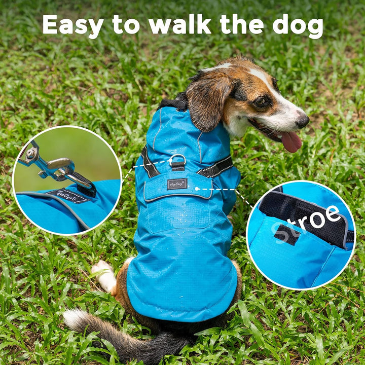 JoyDaog Regenmantel für kleine Hunde mit Kapuze, wasserdichte Outdoor-Regenjacke für Hunde, Welpen-R