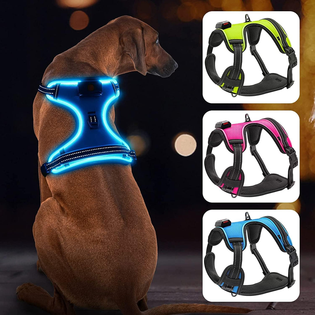 Bpawser Light Up Hundegeschirr LED Hundegeschirr No-Pull mit Griff Wiederaufladbare beleuchtete Hund