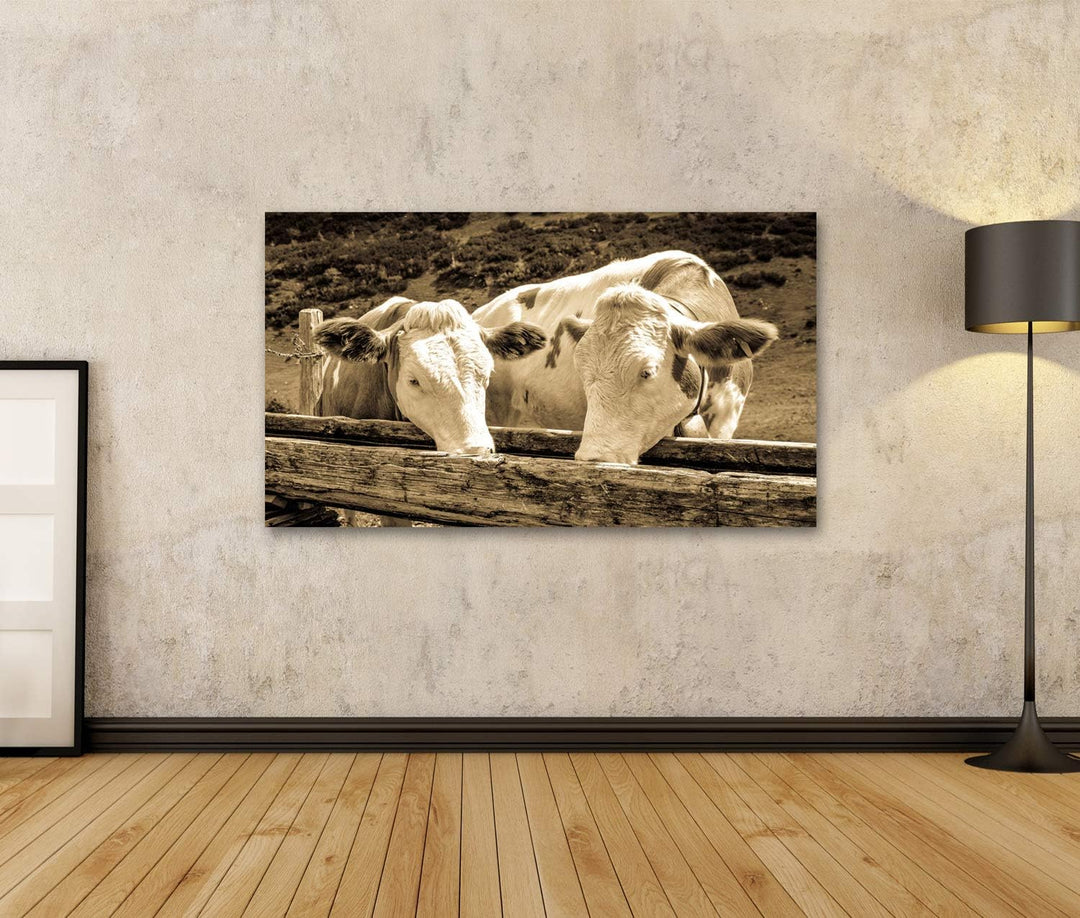 islandburner Bild auf Leinwand Kühe In Den Europäischen Alpen Foto Wandbild Poster Kunstdruck Bilder