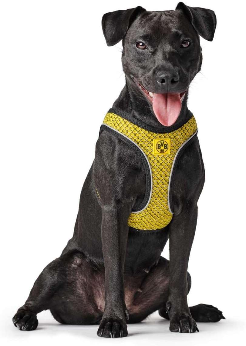 HUNTER HILO COMFORT BVB Hundegeschirr, mit 3D-Mesh-Material, reflektierend, M-L, gelb, 65 - 70 cm ge
