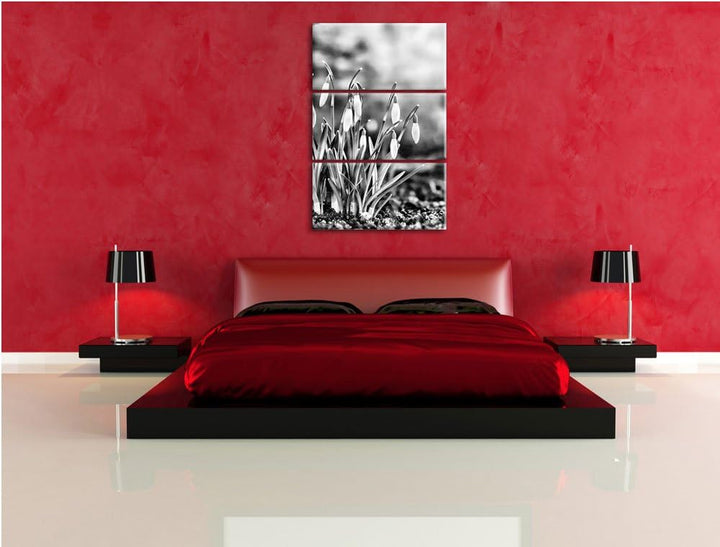 Pixxprint Schneeglöckchen am Waldrand als Leinwandbild/Grösse: 3 Teilig (120x80) cm/Wandbild/Kunstdr