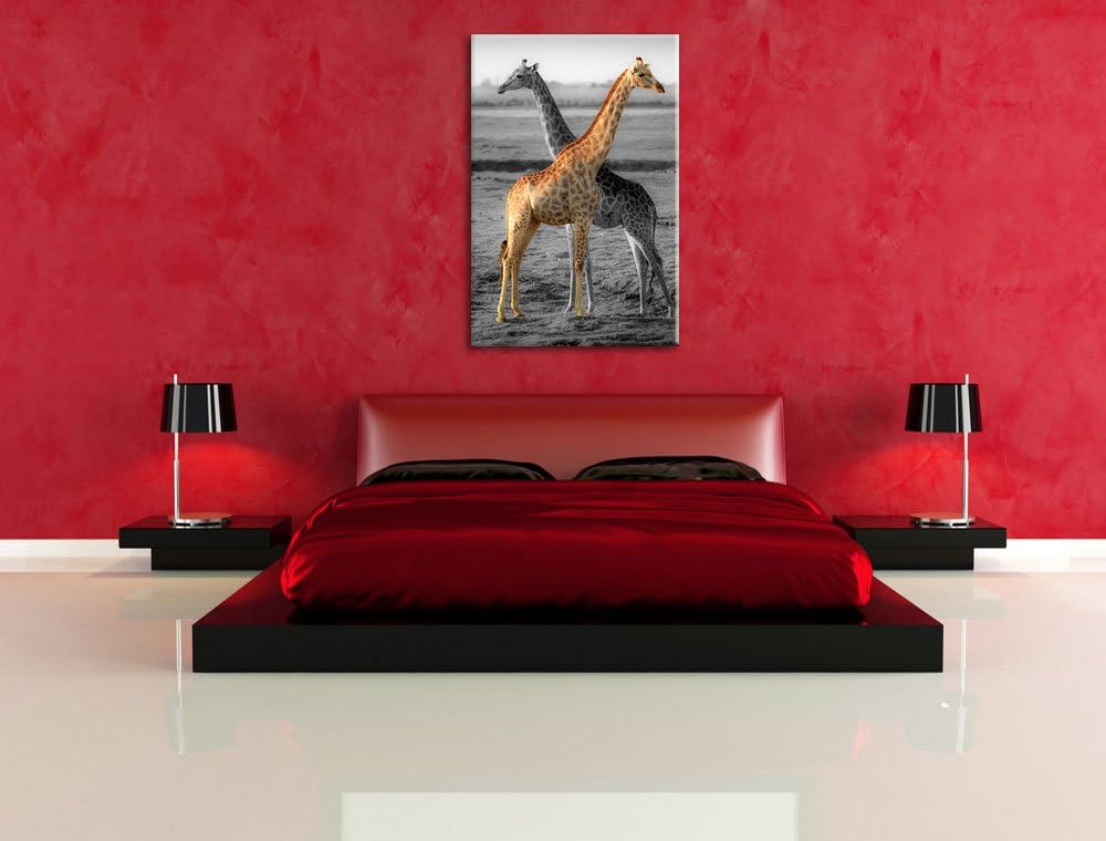 schöne Giraffen in der Steppe schwarz/weiss Format: 100x70 auf Leinwand, XXL riesige Bilder fertig g