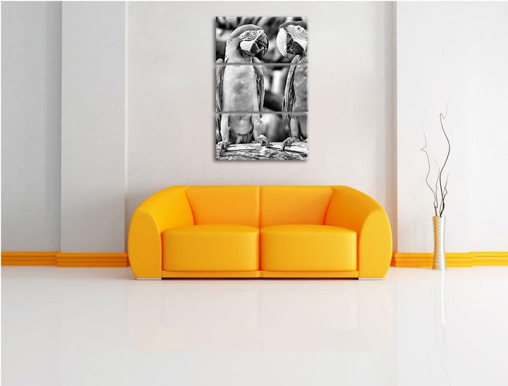 Zwei Papageien auf AST als Leinwandbild/Grösse: 3 Teilig (120x80) cm/Wandbild/Kunstdruck/fertig besp