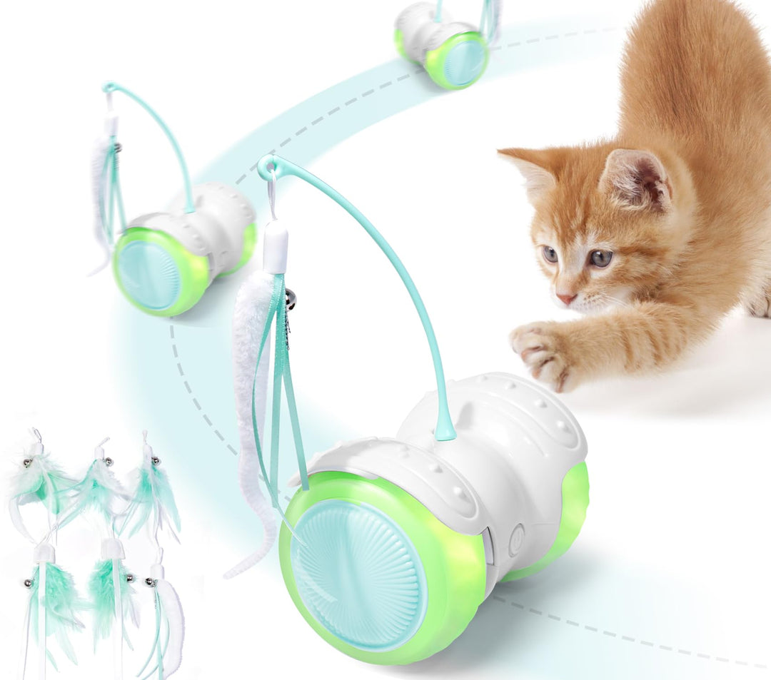 Interaktives Katzen-Spielzeug Auto: 360°Freilauf-Funktion,2 Kamillenminze-Federn,Auto/Manuell - Modu