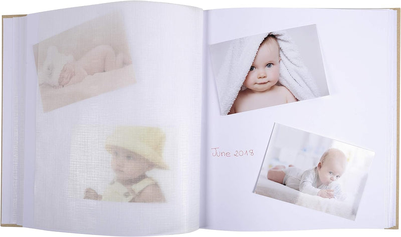 Exacompta 16562E Premium Fotoalbum Zephire mit Katzenmotiv, 30 Seiten, rechteckig, perfekt für Ihre