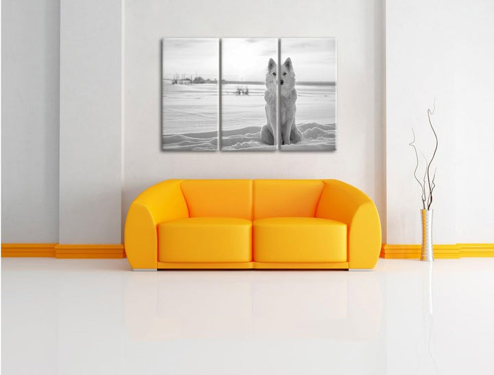 Pixxprint Weisser Wolf im Schnee Kunst B&W als Leinwandbild/Grösse: 3 Teilig (120x80) / Wandbild/Kun